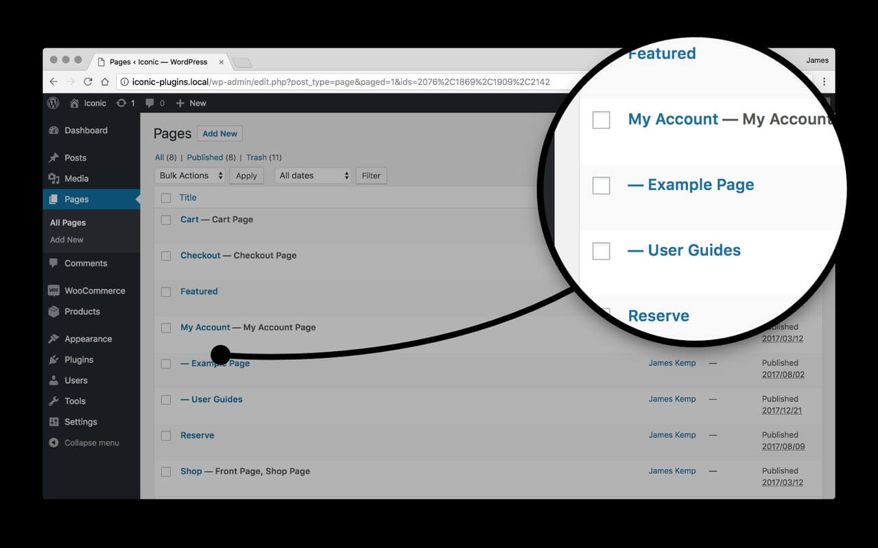 Контент Вордпресс