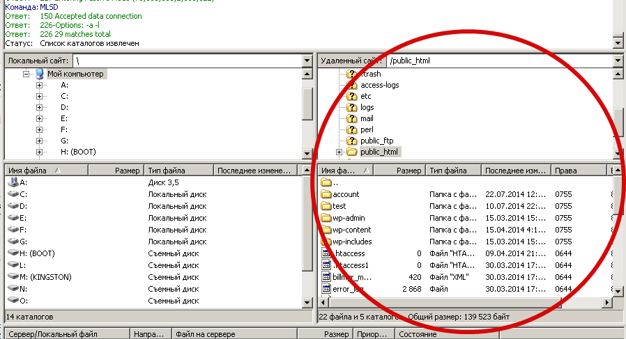  Файлы хостинга в FTP-клиенте FileZilla 