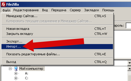 Импорт профиля FTP в FileZilla